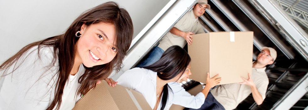 Professional Removalists Pygery